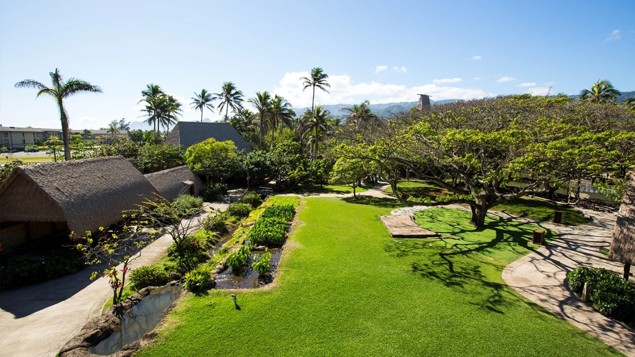 Wetland kalo patch at the Polynesian Cultural Center