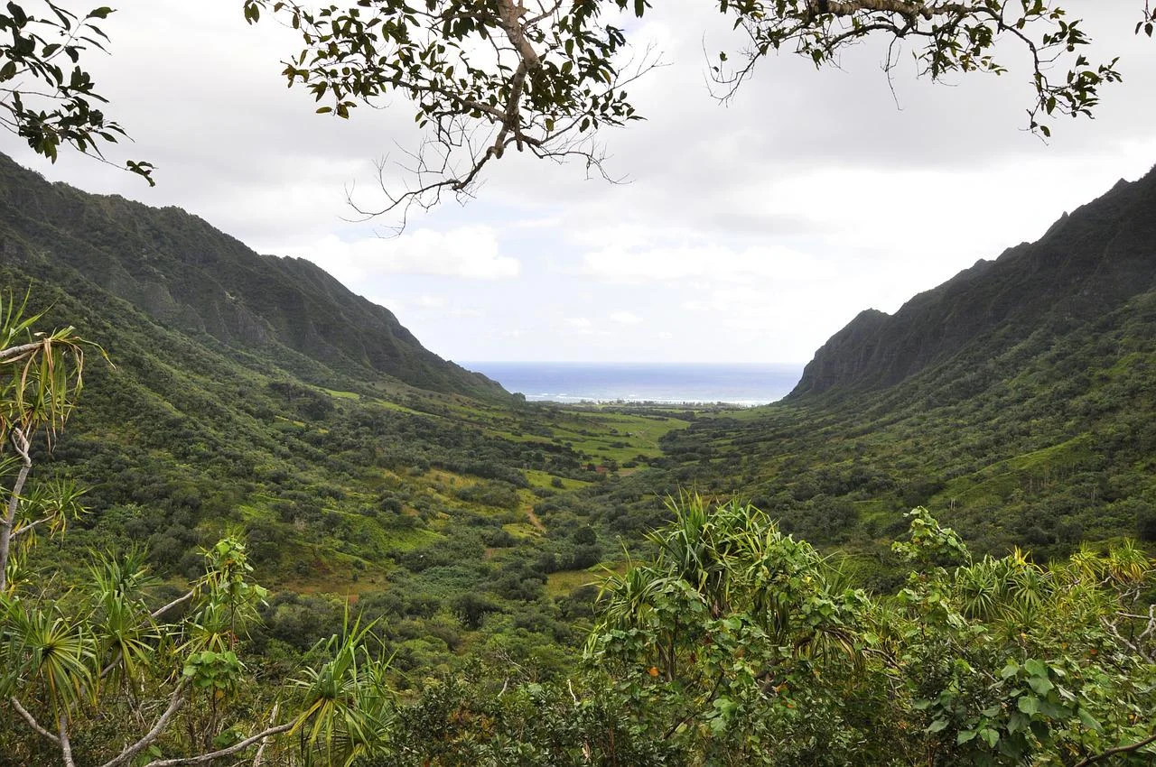 The beautiful landscape of the Kualoa valley and surrounding mountains, out toward the ocean..