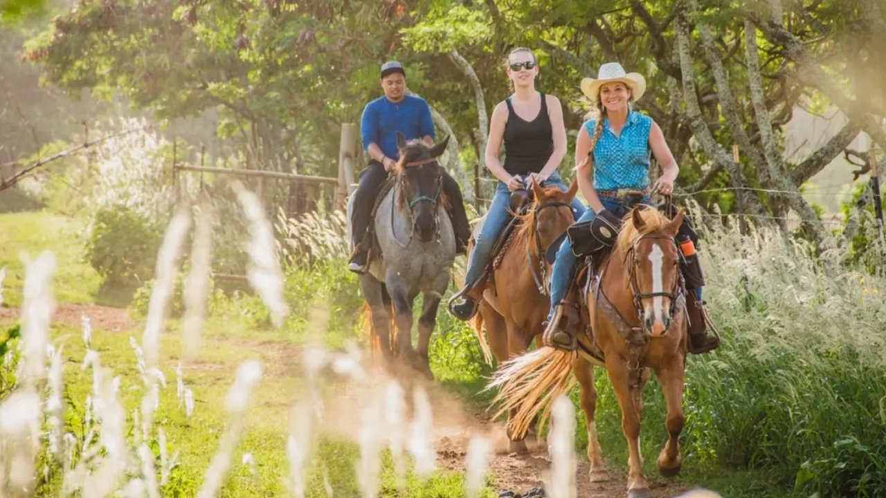 A couple being led by a guide horseback riding.