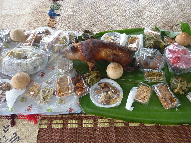 Many different Tongan foods, including a roasted pig, laid upon a mat.