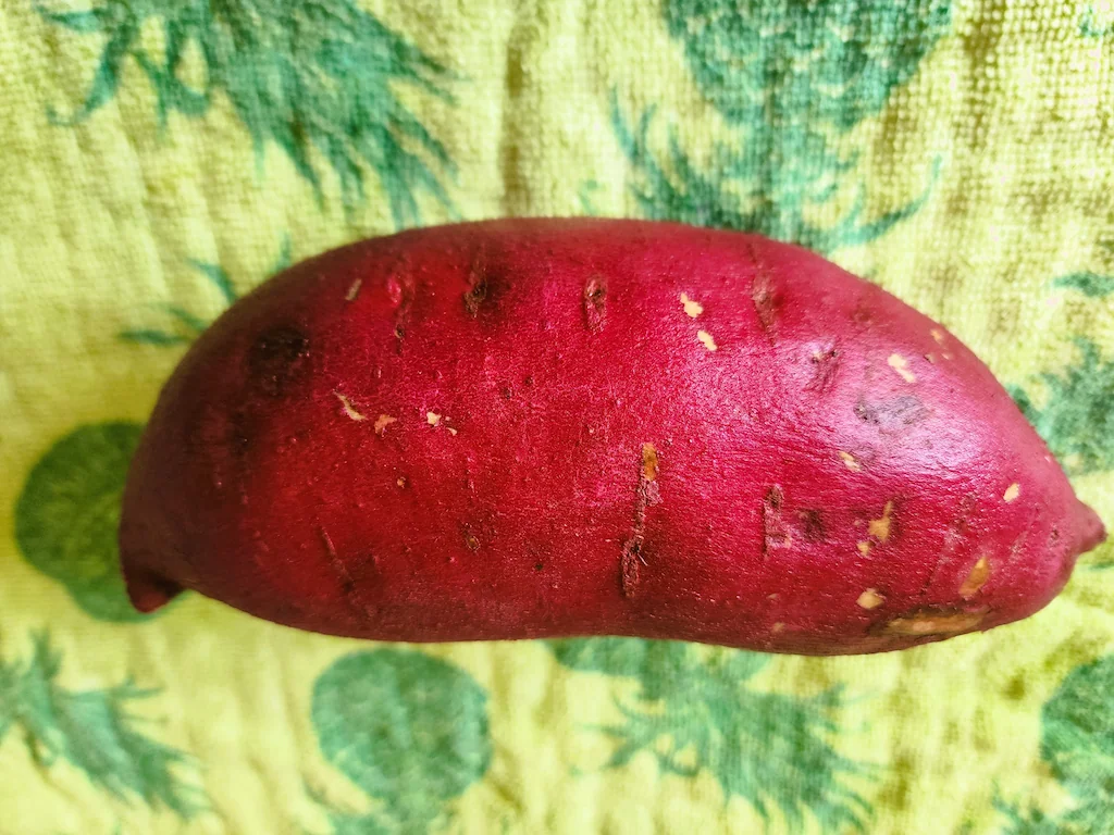 Bright-red "kūmara" sweet potato.