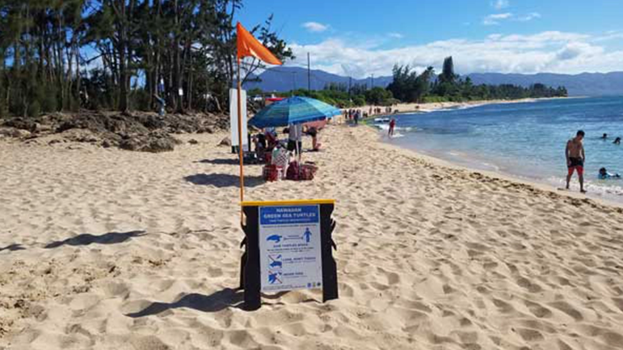 Laniakea is commonly referred to as Turtle Beach