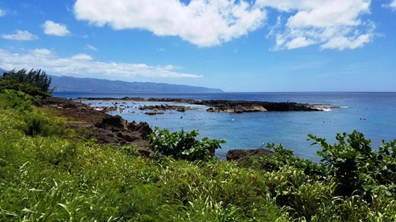 Sharks Cove is rated by many as the best snorkeling on the island