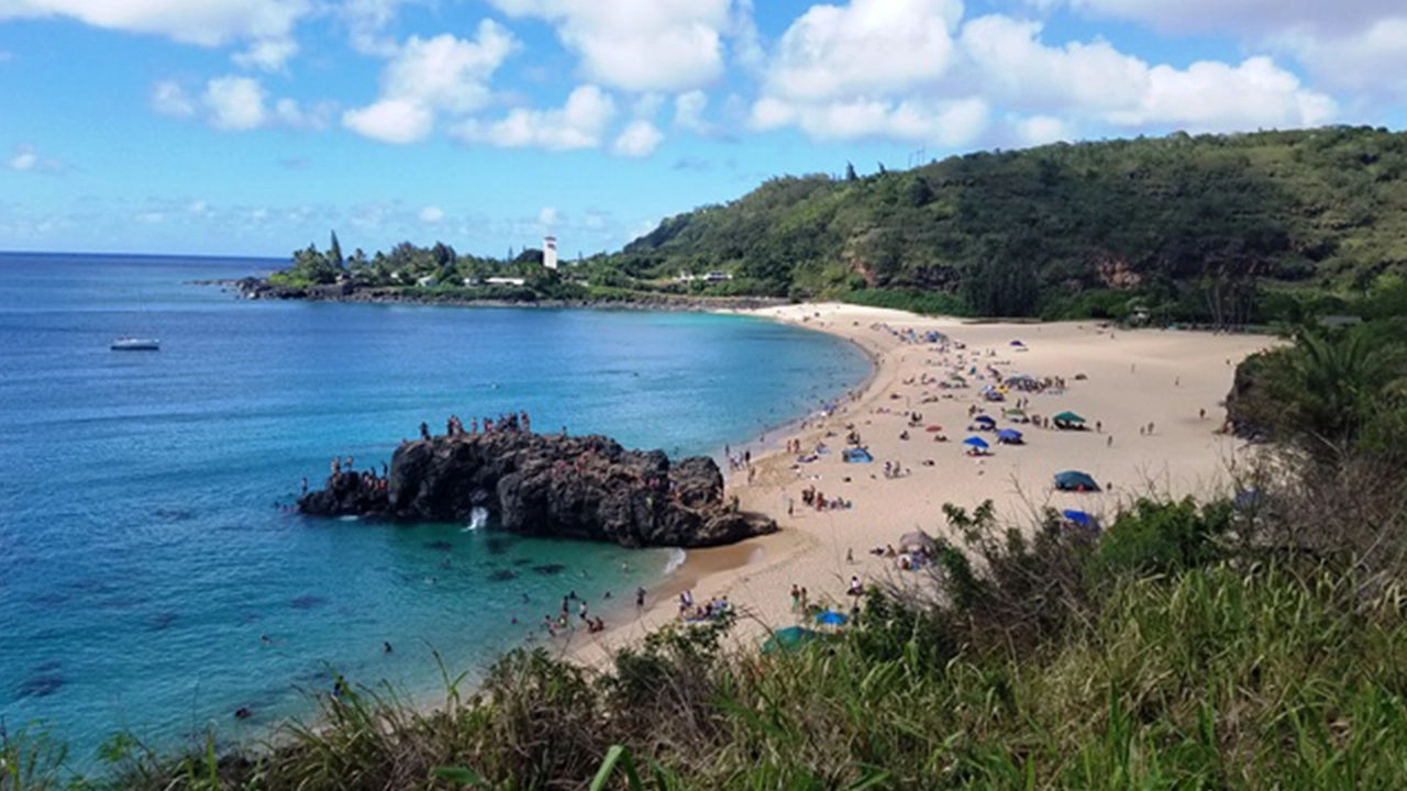 Are you ready for Waimea Bay? You&rsquo;d better be up on your skills to conquer this one!