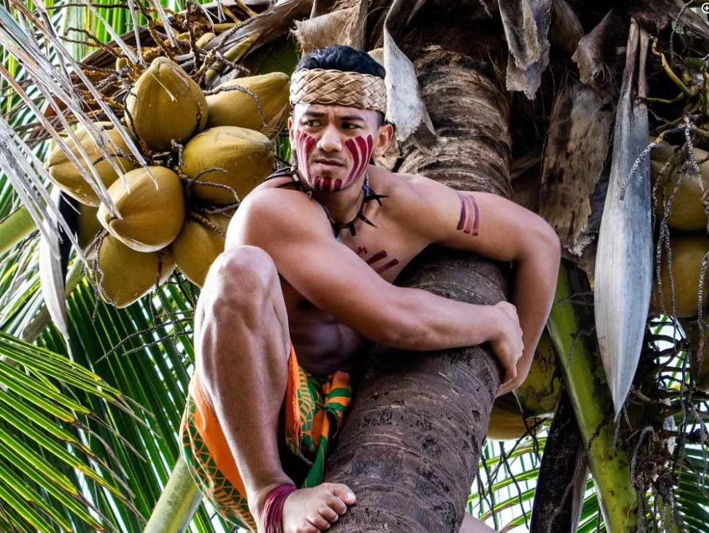 A Samoan performer perched on a coconut tree.