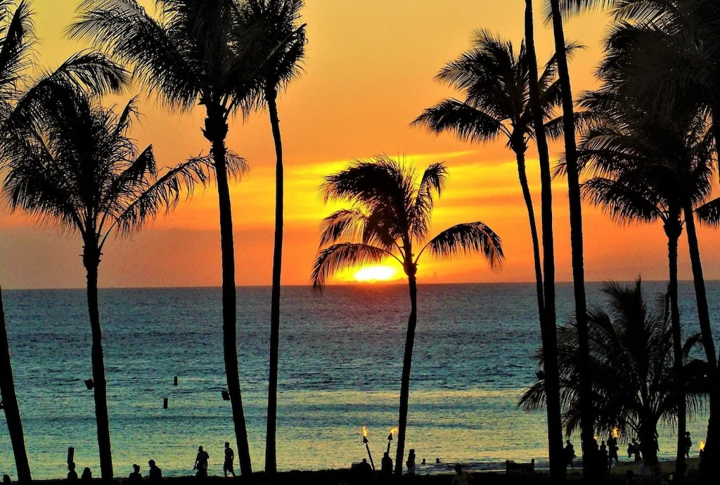 A bright orange sunset at a tropical beach.