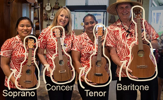 Comparison of different ukulele sizes.